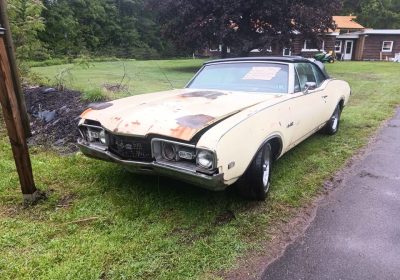 499901703_122224746032244934_6633375660218252496_n