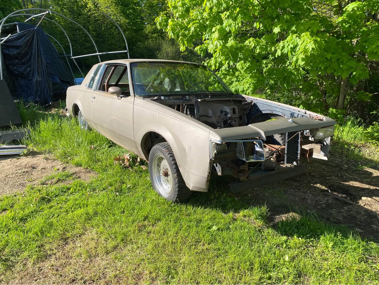 1984 Buick regal Limited