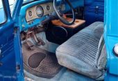 1966 Ford F150