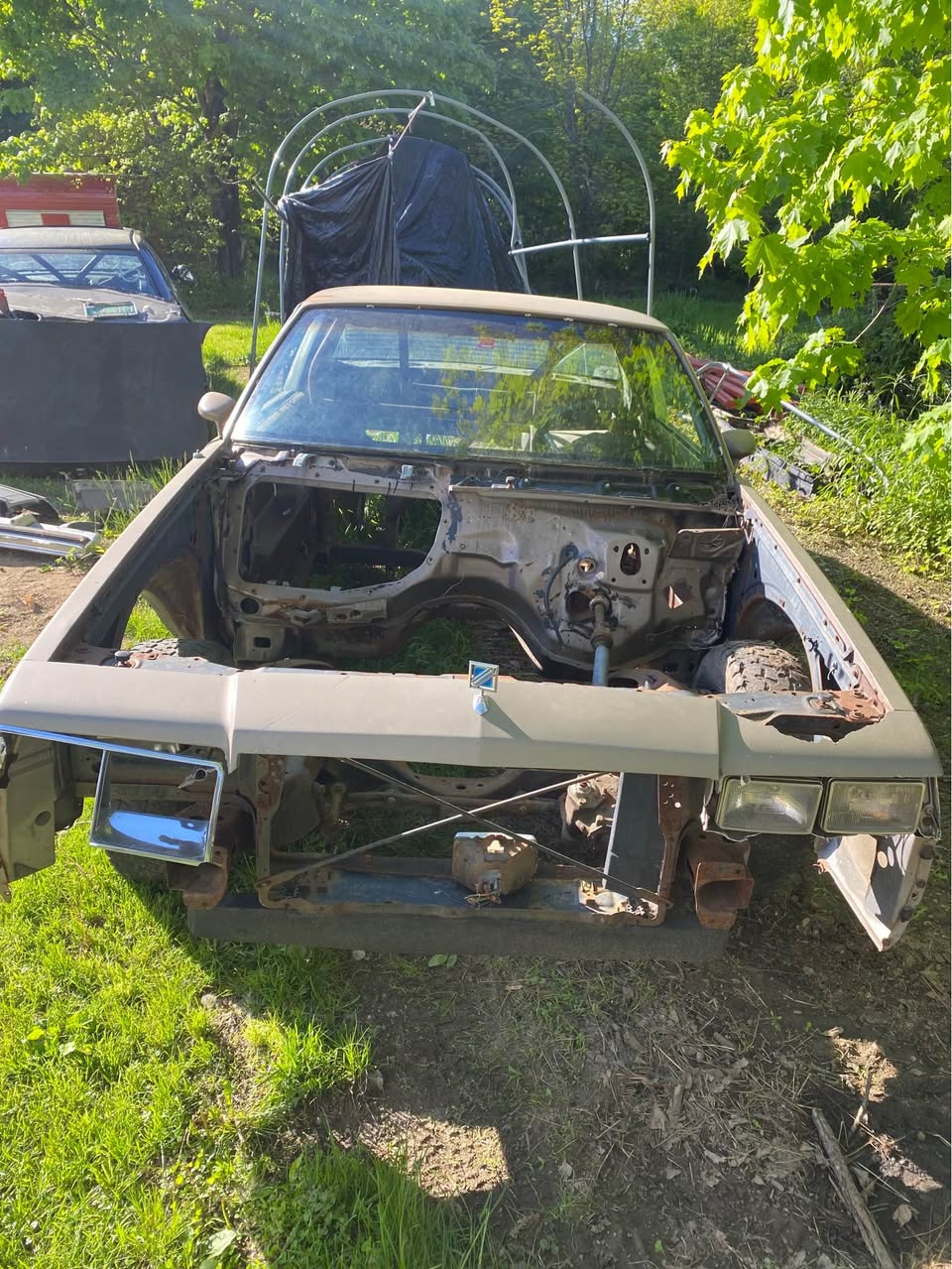 1984 Buick regal Limited