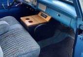 1966 Ford F150