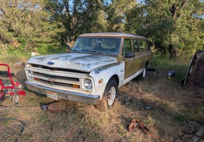 501574664_24405765692344192_6224947252115479906_n