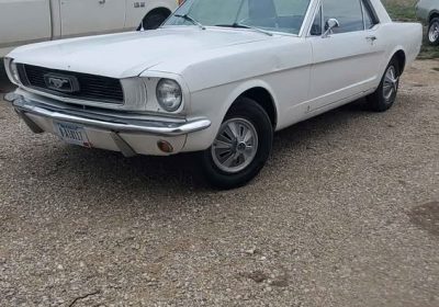 502411447_703147595913073_2343453706663414285_n