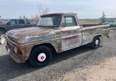 502432290_9908029159234260_5619754716212807271_n