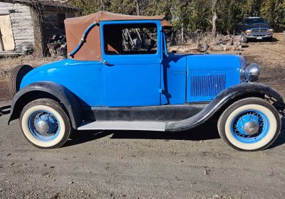 502525205_3791033721197285_8066769535097028446_n