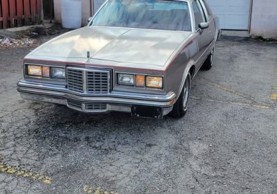 481567964_23973019938955194_3477518266731764334_n