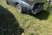 1977 Pontiac Trans AM