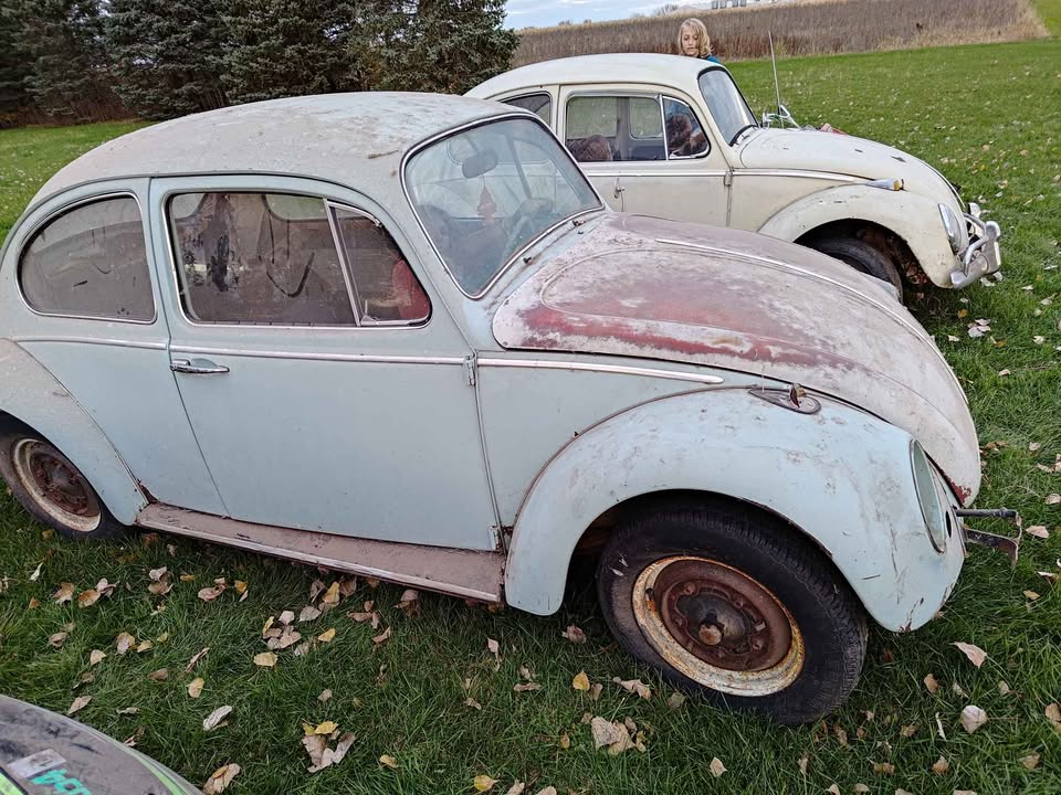 1965 VW Beetle