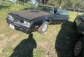 1977 Pontiac Trans AM