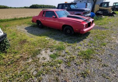 499527826_2124346344751023_608107340467194452_n