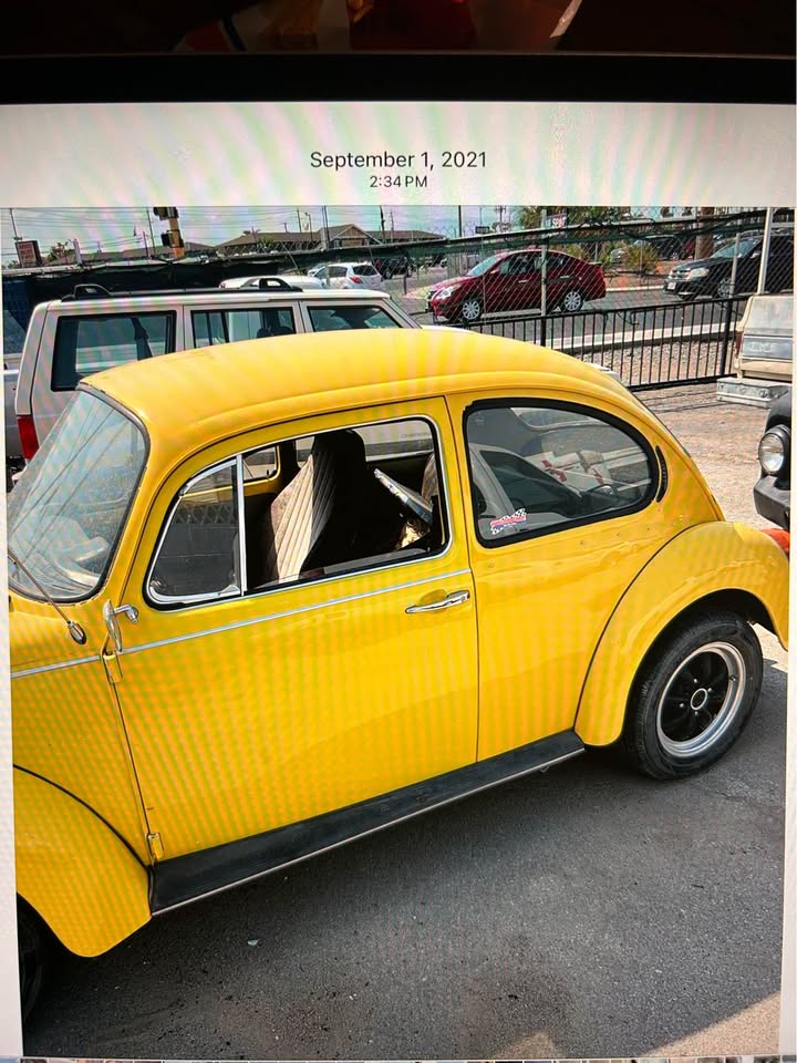 1973 VW Beetle