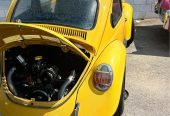 1973 VW Beetle