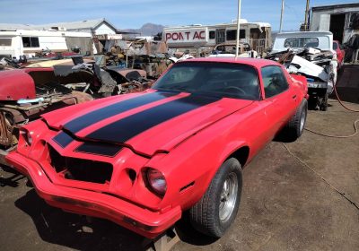 502564288_10222958511949779_5276476081986829493_n