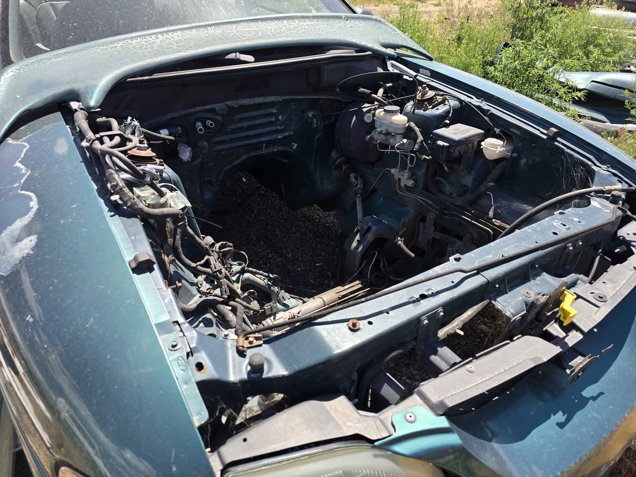 1996 Ford Mustang