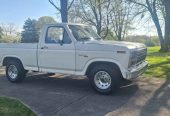 1981 Ford F100