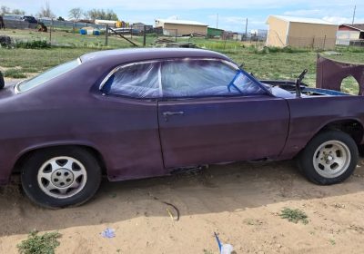 503307523_10237913856804191_4902699715151341028_n