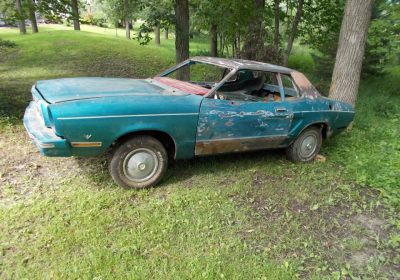 503366626_1966625967408590_7343690686679975150_n