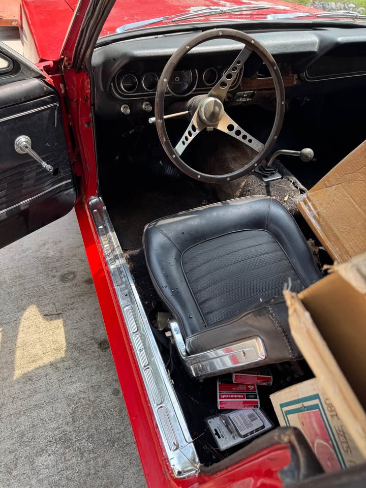 1966 Ford Mustang