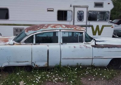 503405679_684616234488833_5716290981310074055_n