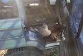 1977 Jeep Wagoneer