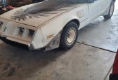 1980 Pontiac Trans AM