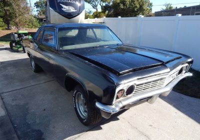 503614244_10233237142182856_3981115786135875477_n