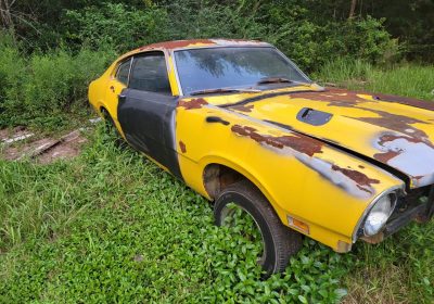 503650195_1486478709389613_6421206342572087556_n