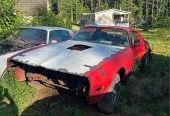 1979 Pontiac Firebird