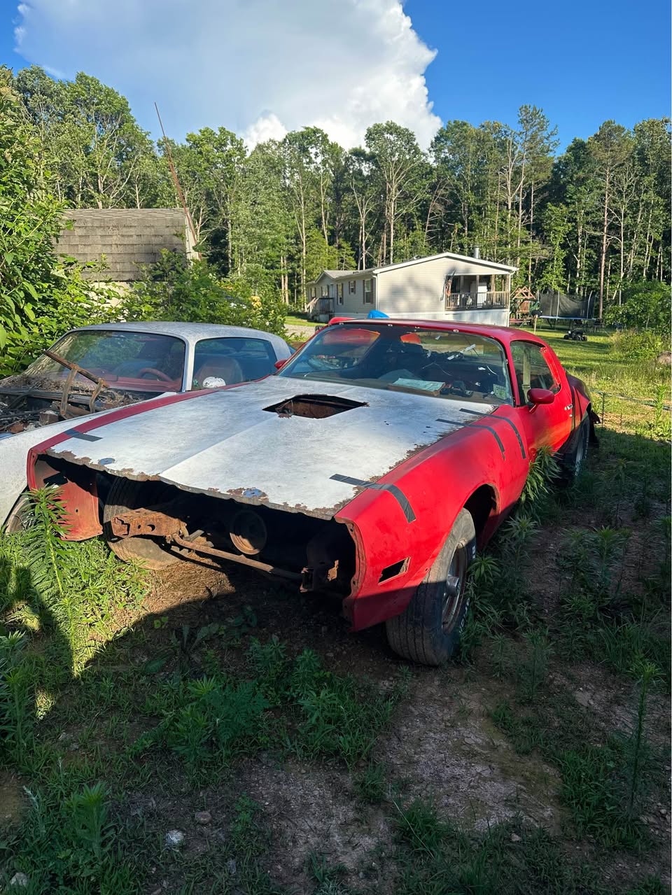 1979 Pontiac Firebird