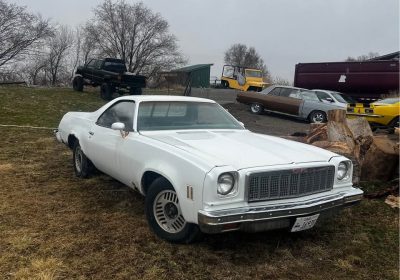 503809217_24028773456718013_2545980043449919364_n