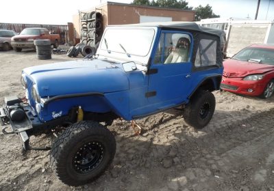 503861016_9986432524773464_1336980797997708849_n