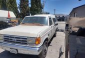 1989 Ford F250