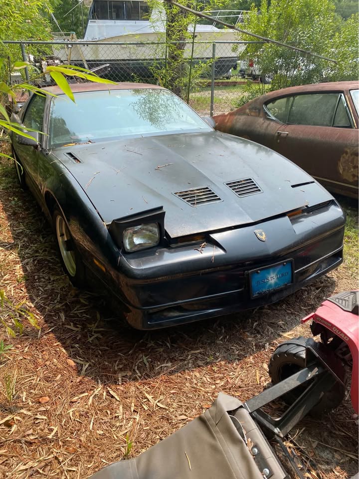 1986 GTA Trans Am