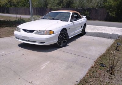 504006784_9971525899634727_7414296250436415699_n