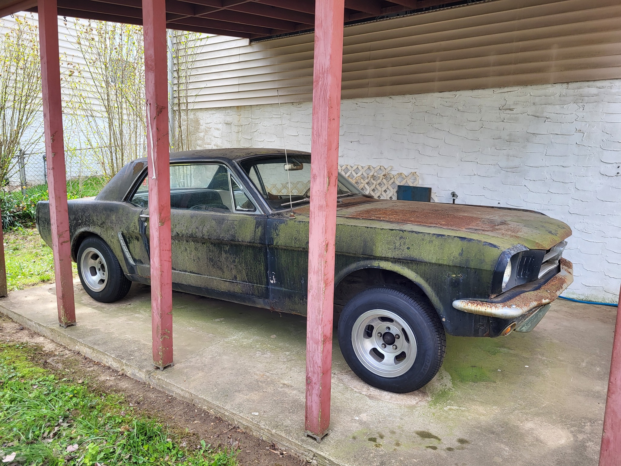2965 Ford Mustang