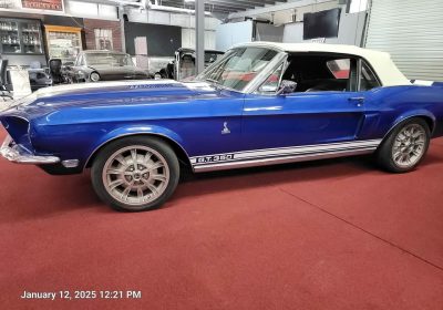 504105395_24634638089458723_4784039153705130468_n