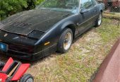 1986 GTA Trans Am