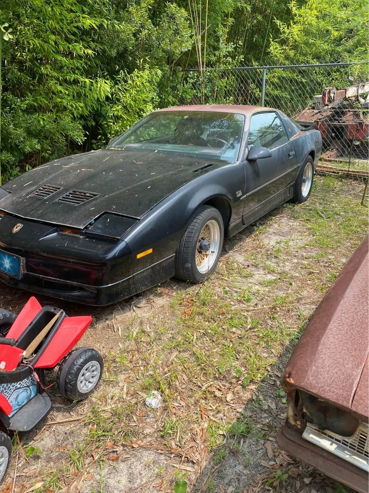 1986 GTA Trans Am