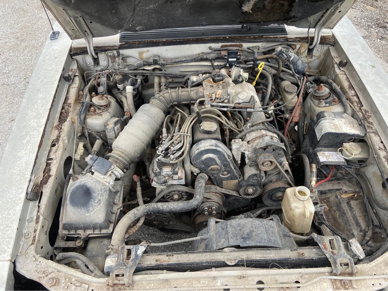 1992 Ford Mustang
