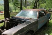 1969 Ford Mustang
