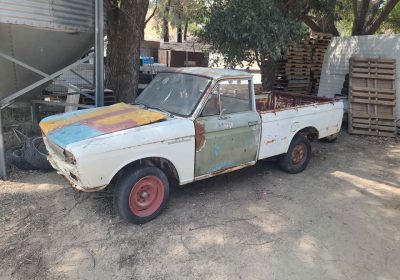 504294570_10229434927397110_3960894737258205785_n