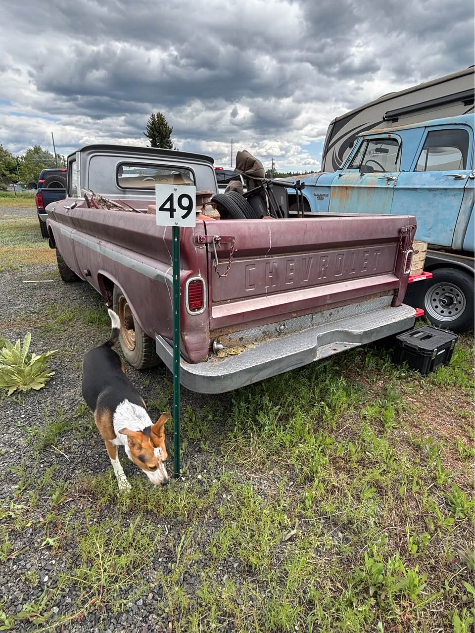 1966 Chevrolet C20