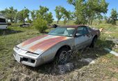 1983 Pontiac Firebird
