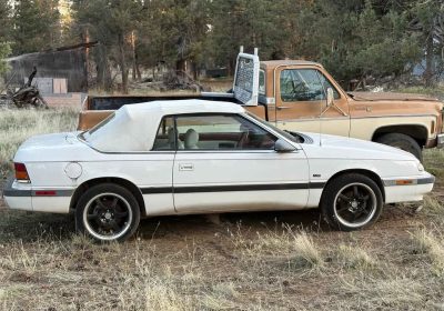 504436214_24137813732477044_5352913861732166091_n