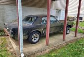 2965 Ford Mustang