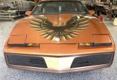 1984 Pontiac Firebird
