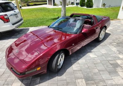 504874131_10229215694004248_6064757403769488654_n