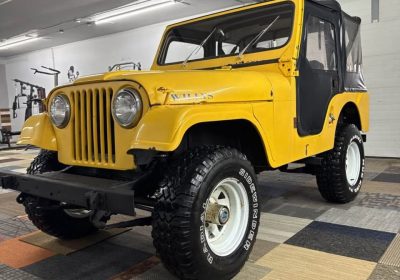 504958364_3231927340299112_8823395001365757671_n