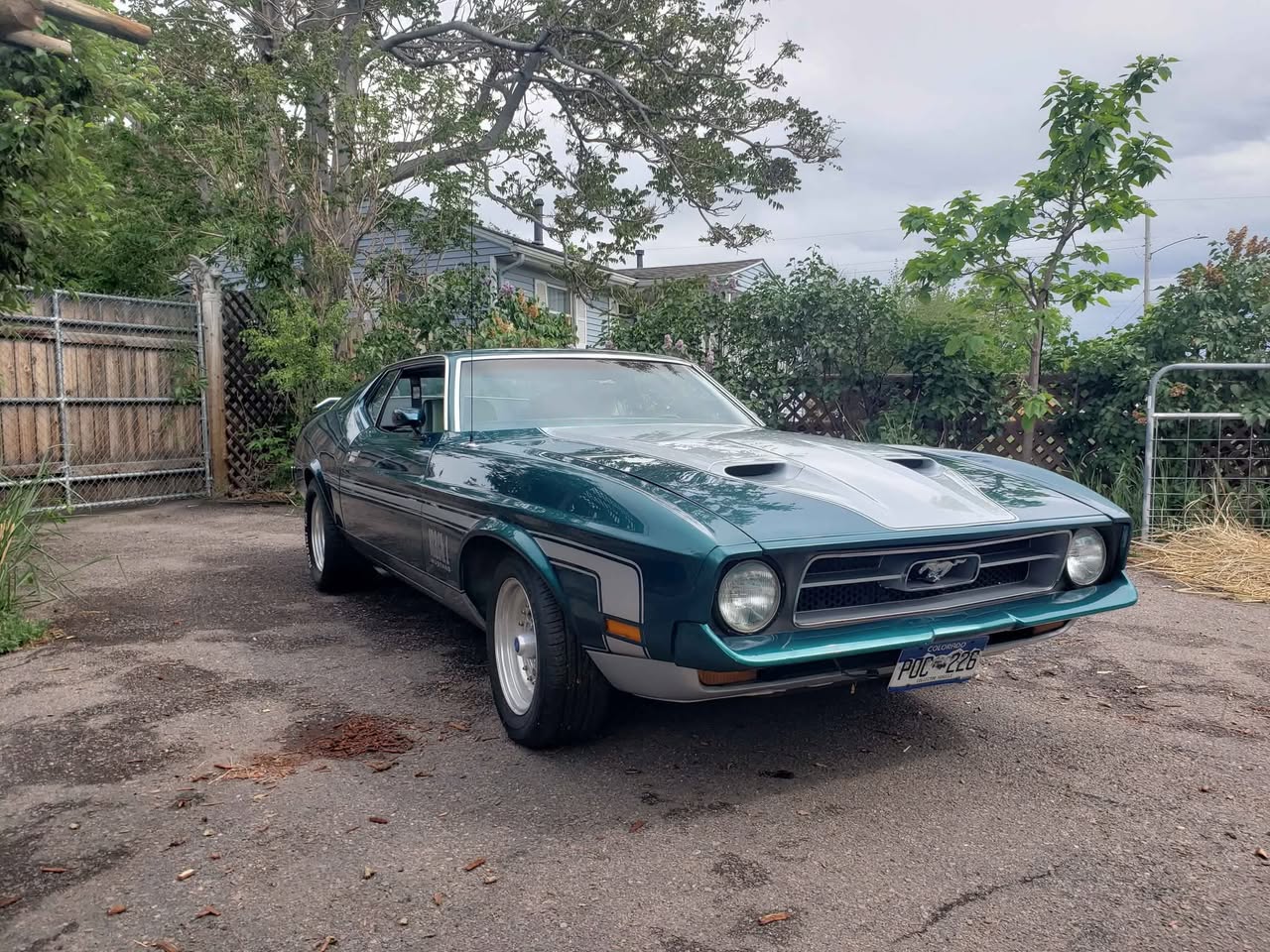 1971 Mustang Mach1