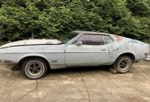 1971 Mach 1 mustang